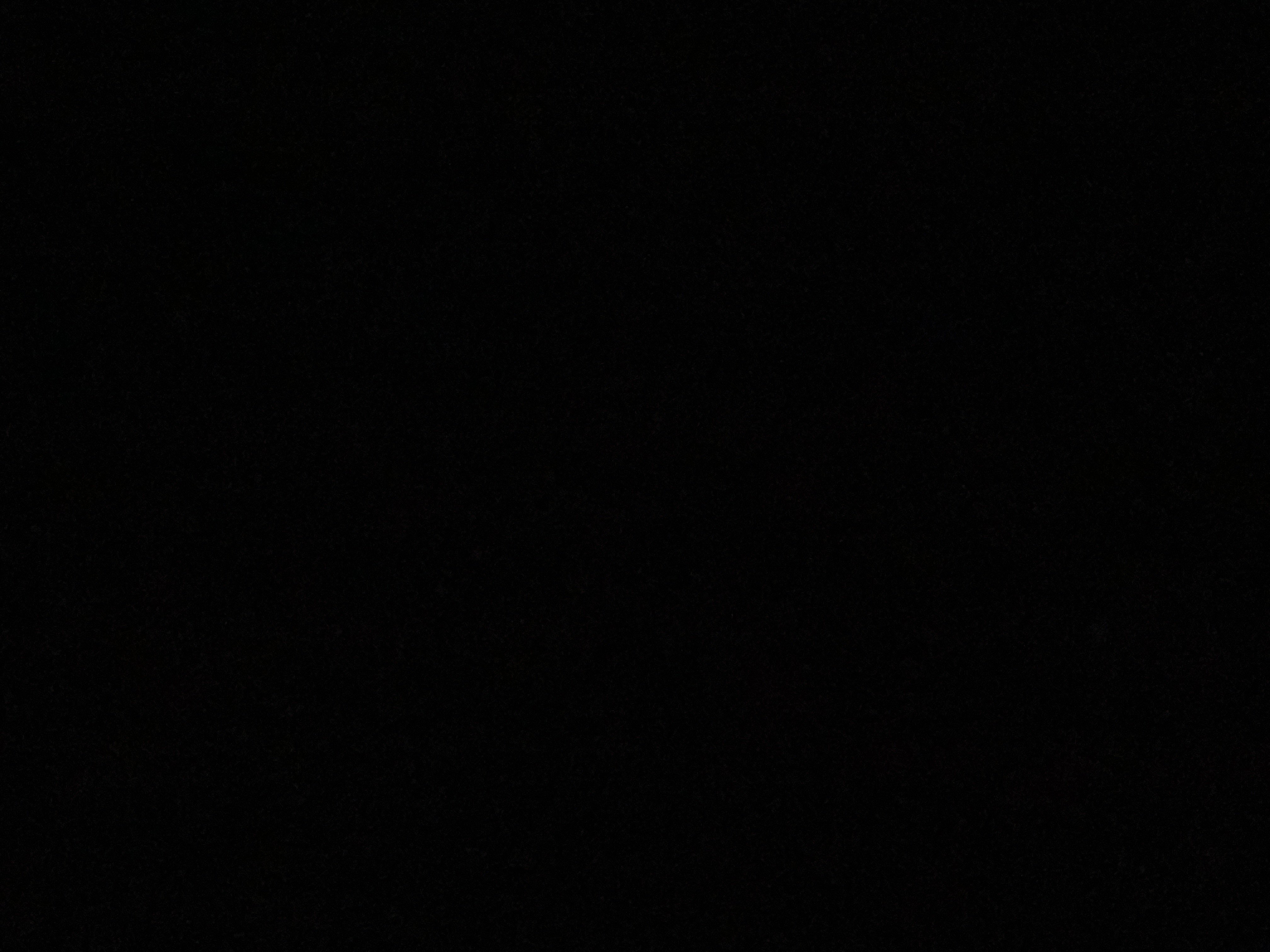 عبدالرحيم الزبيدي