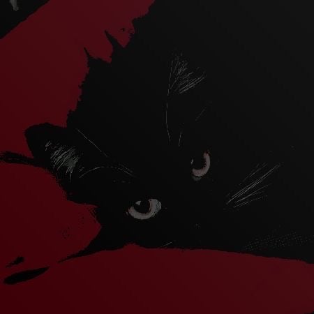 ولاء الحارثي