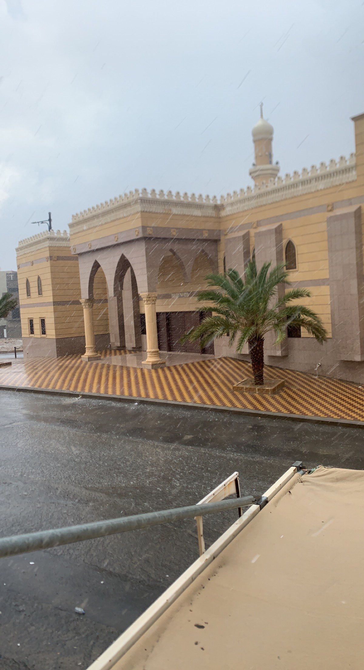 هديل الشريف