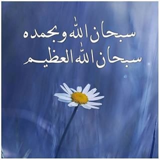 عبير الشمري