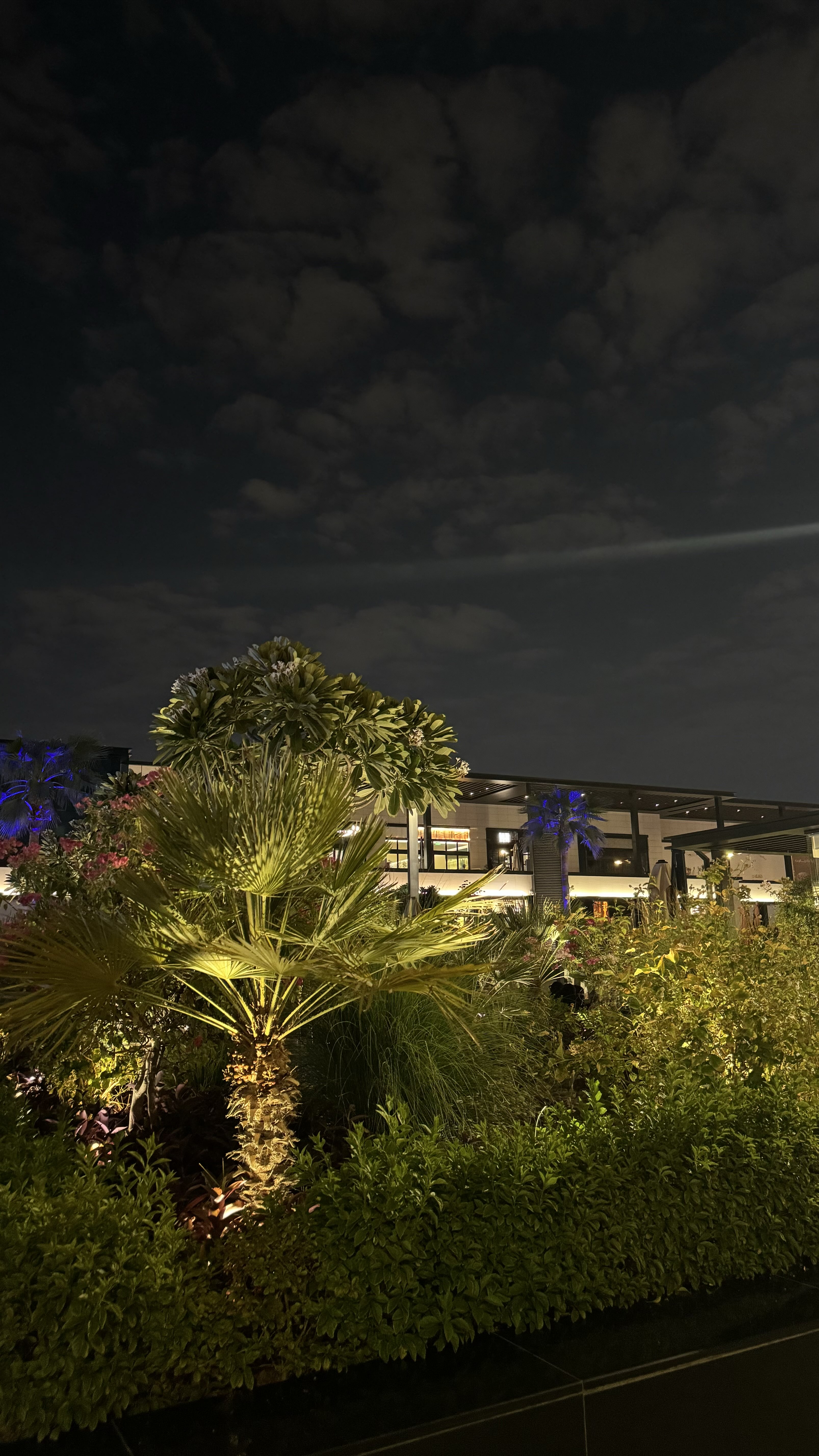 Bashayr aldwsari korah