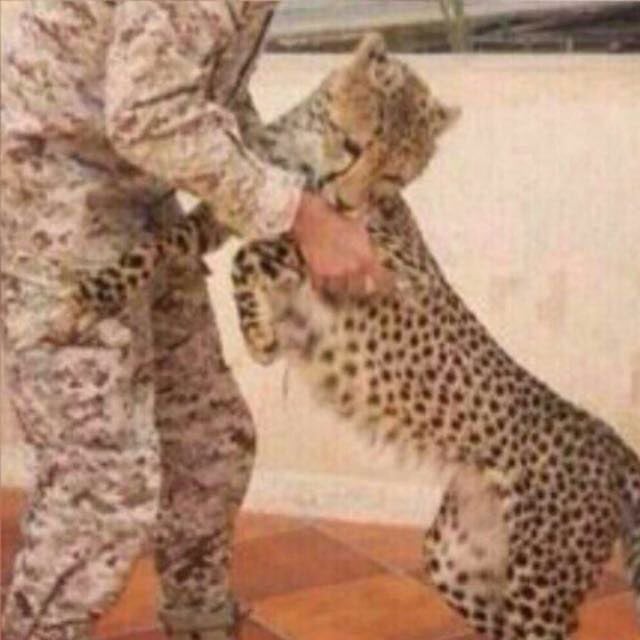 عبدالله الشمراني
