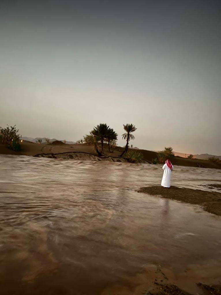 عون السبيعي