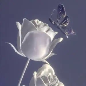 تغريد العواد