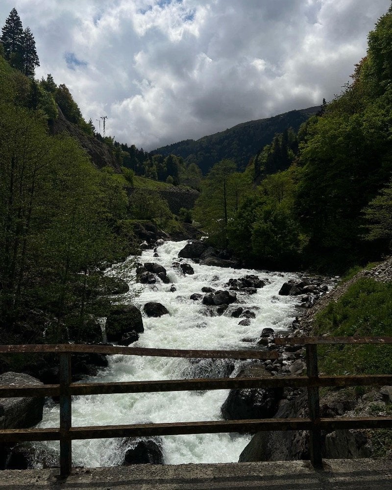 كافي الشمري