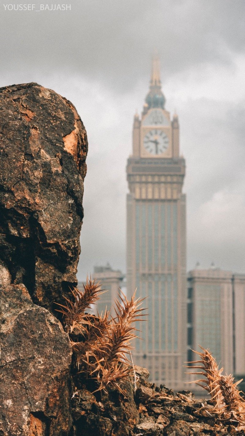 سلمى فلمبان