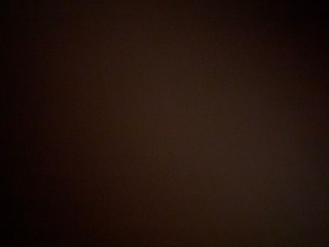 ربى العوفي