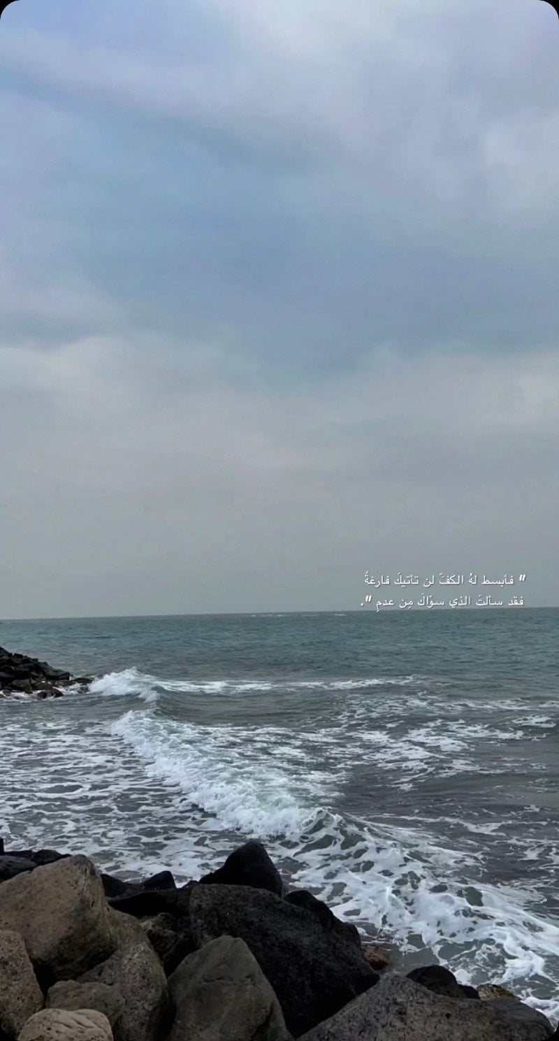 حسن العلي