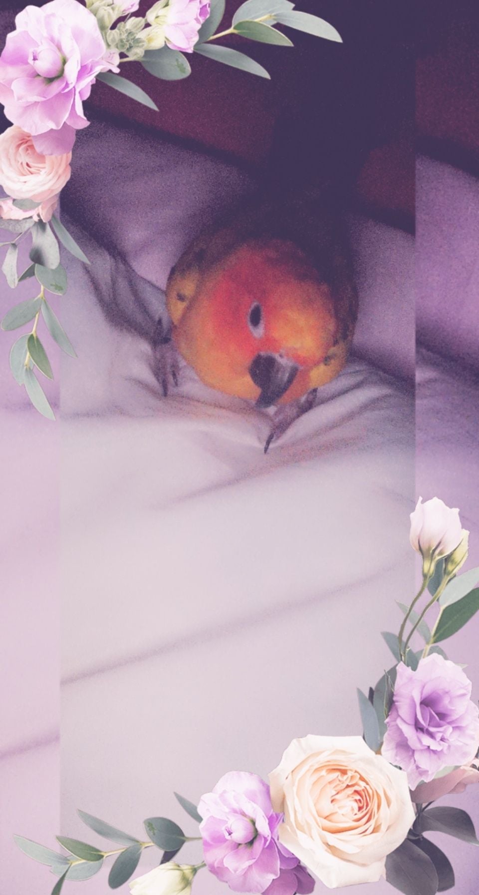 العنود الشمري