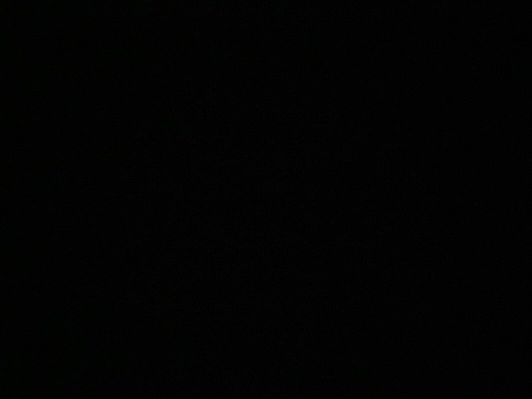 خولة الحامد