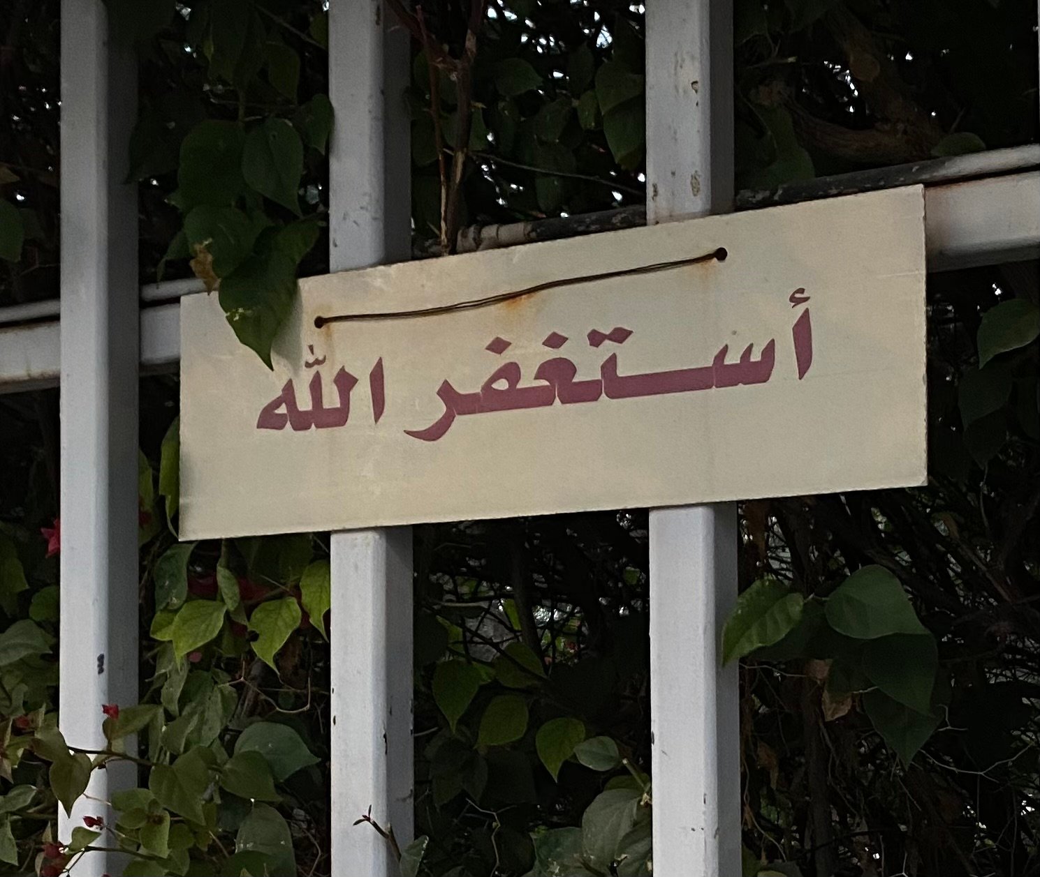 هديل عبدالمحسن الحسين