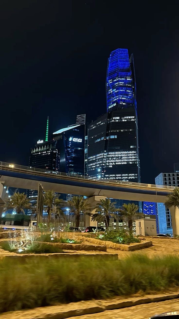 نعمه العسيري