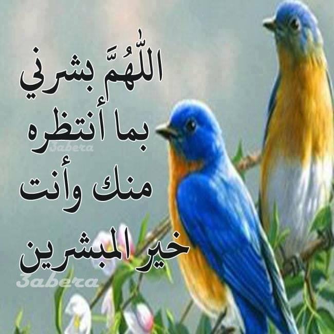 أماني العطوي