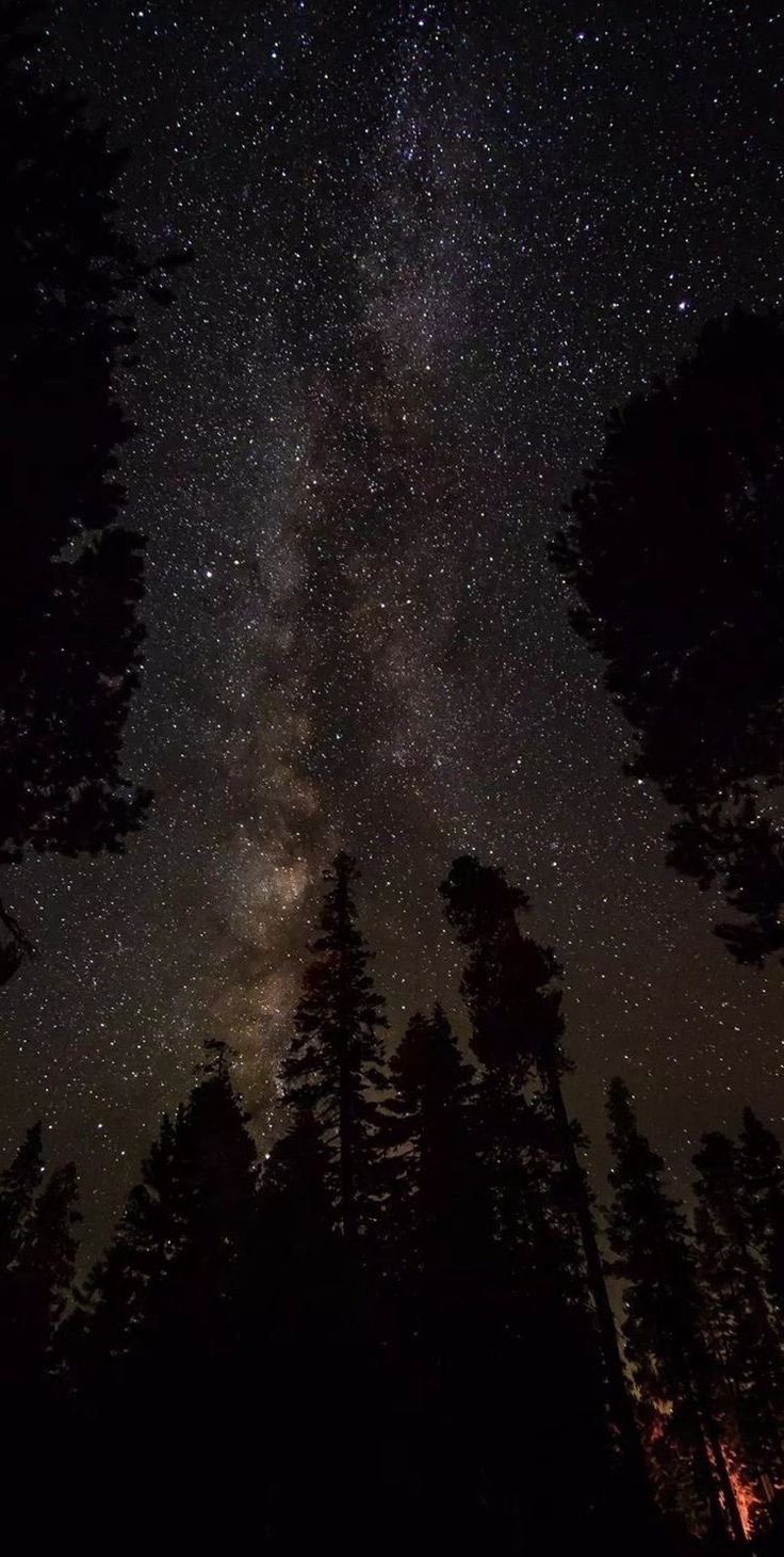 ريماس الخريشي