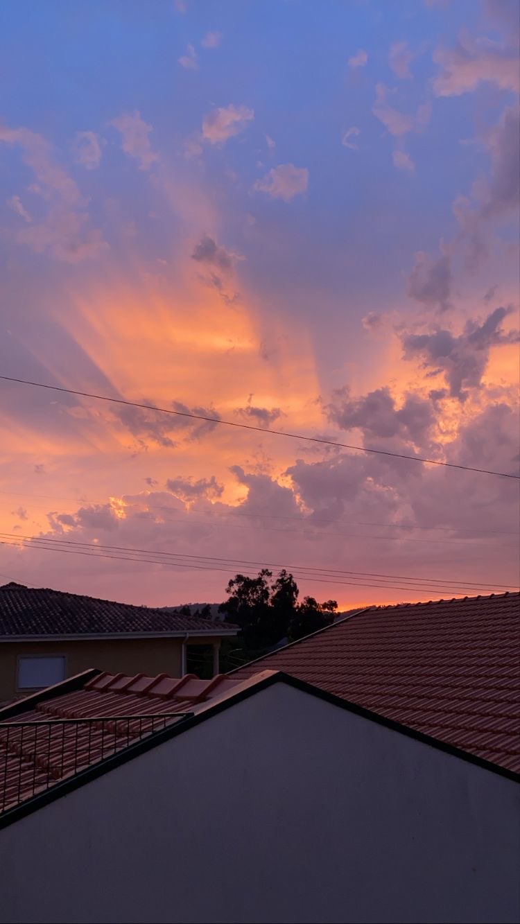 سناء القحطاني