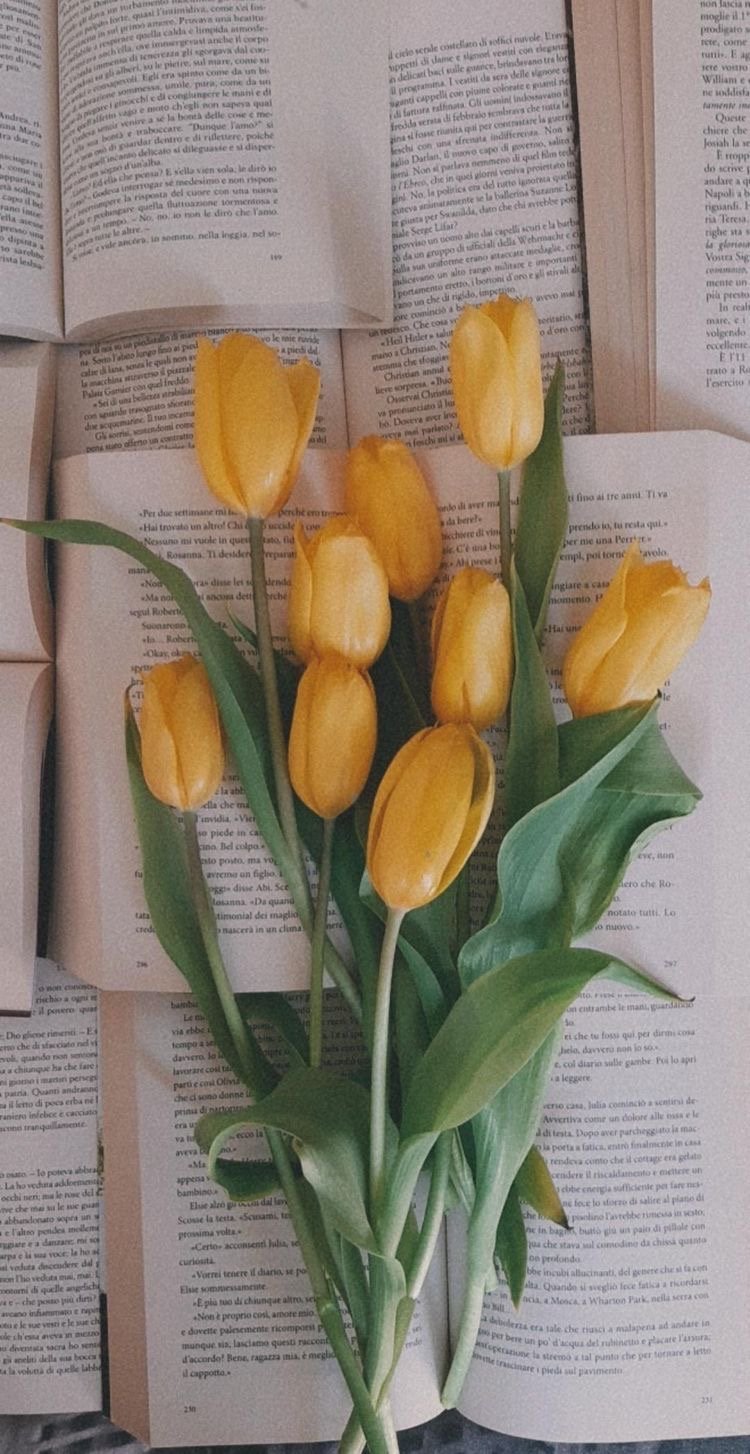 عهود الشهراني