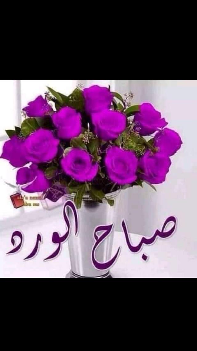رنجس القلاف