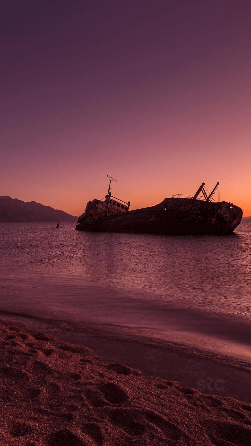 بدر الحديثي