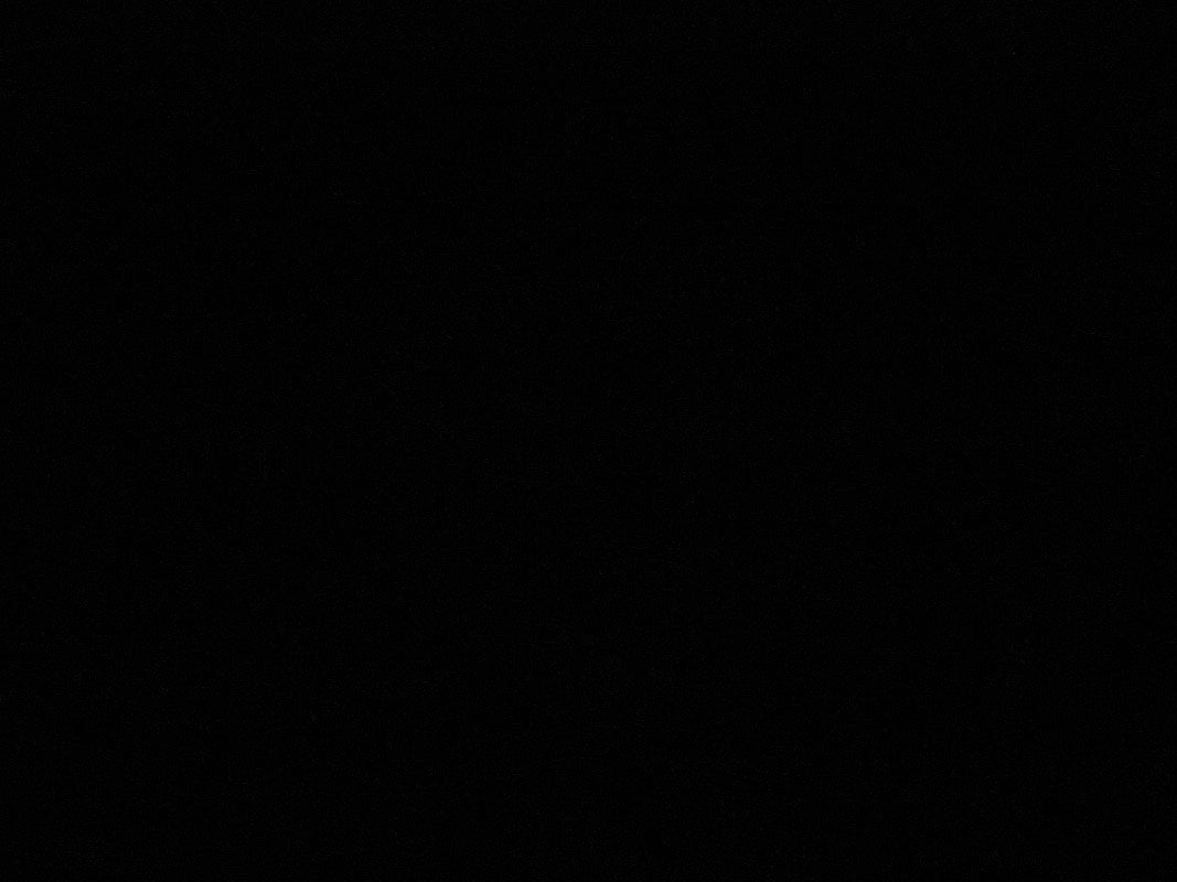 علياء شما