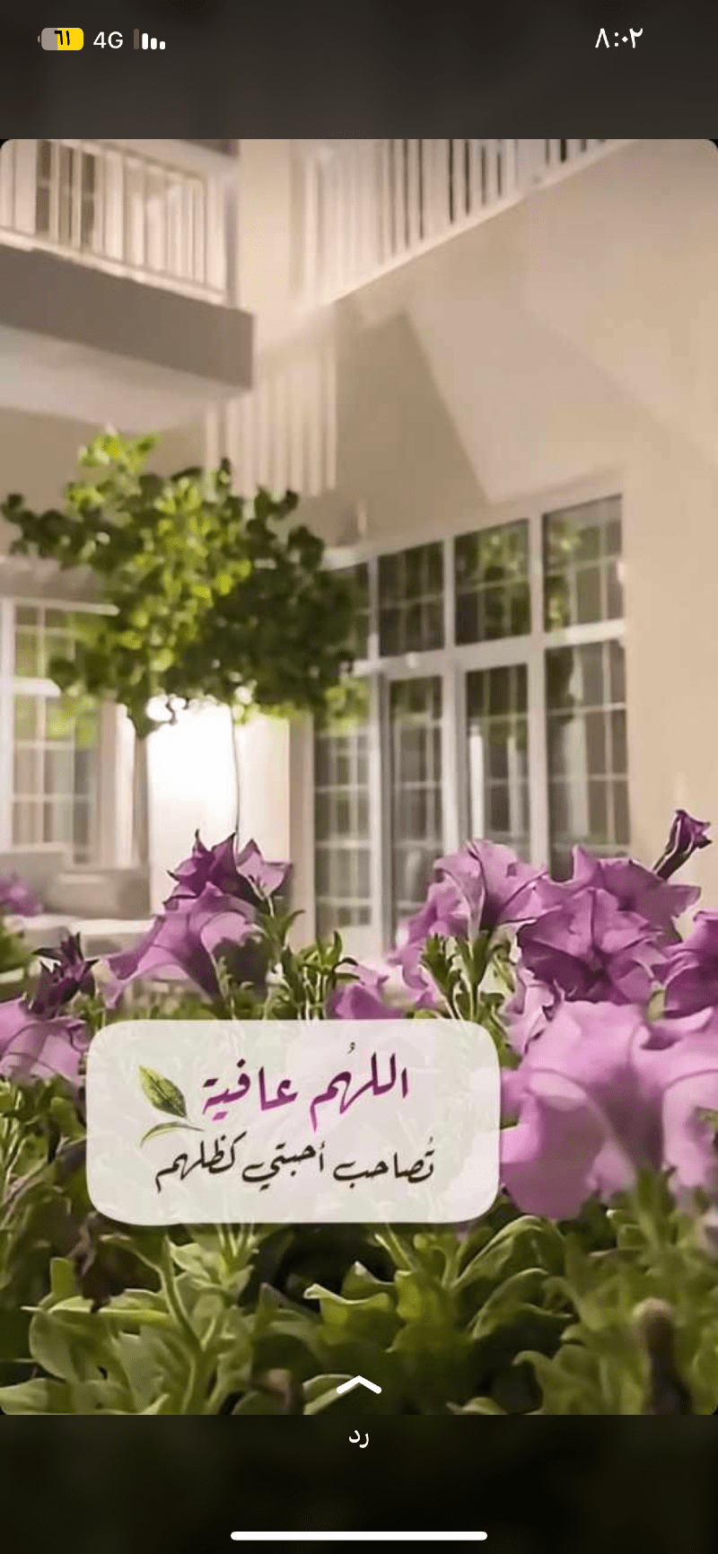 نوره القريني