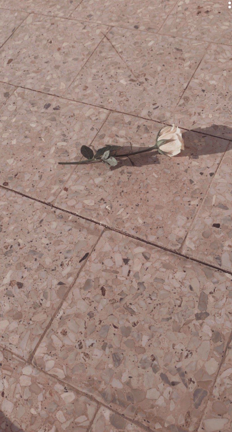 العنود المهري