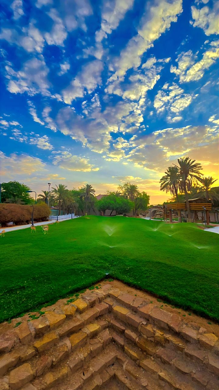 Fahad Albawardy
