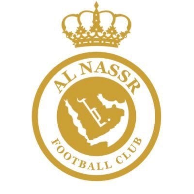 ماجد العنزي