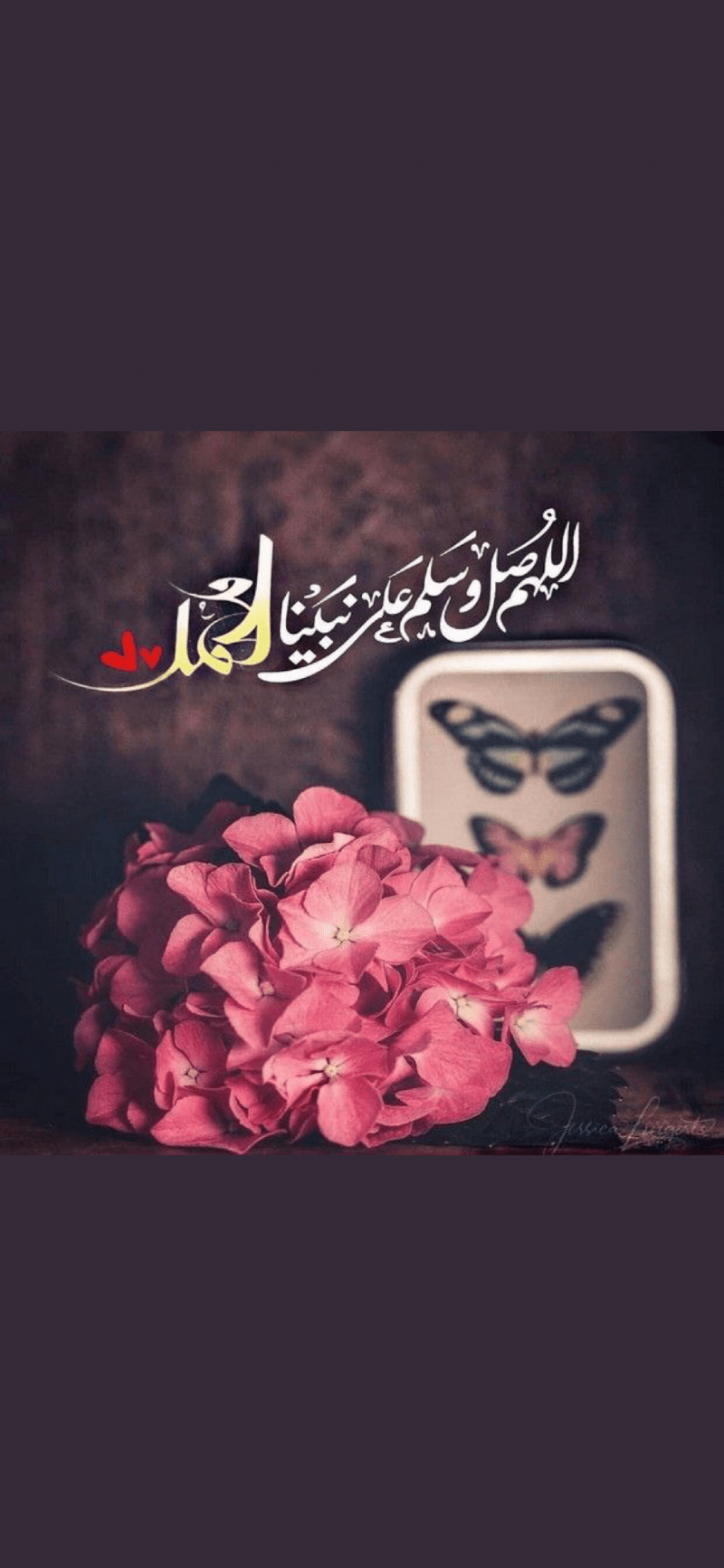 ايمان العصيمي