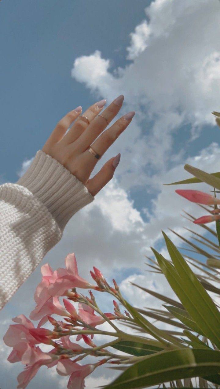 جارالله المسعود