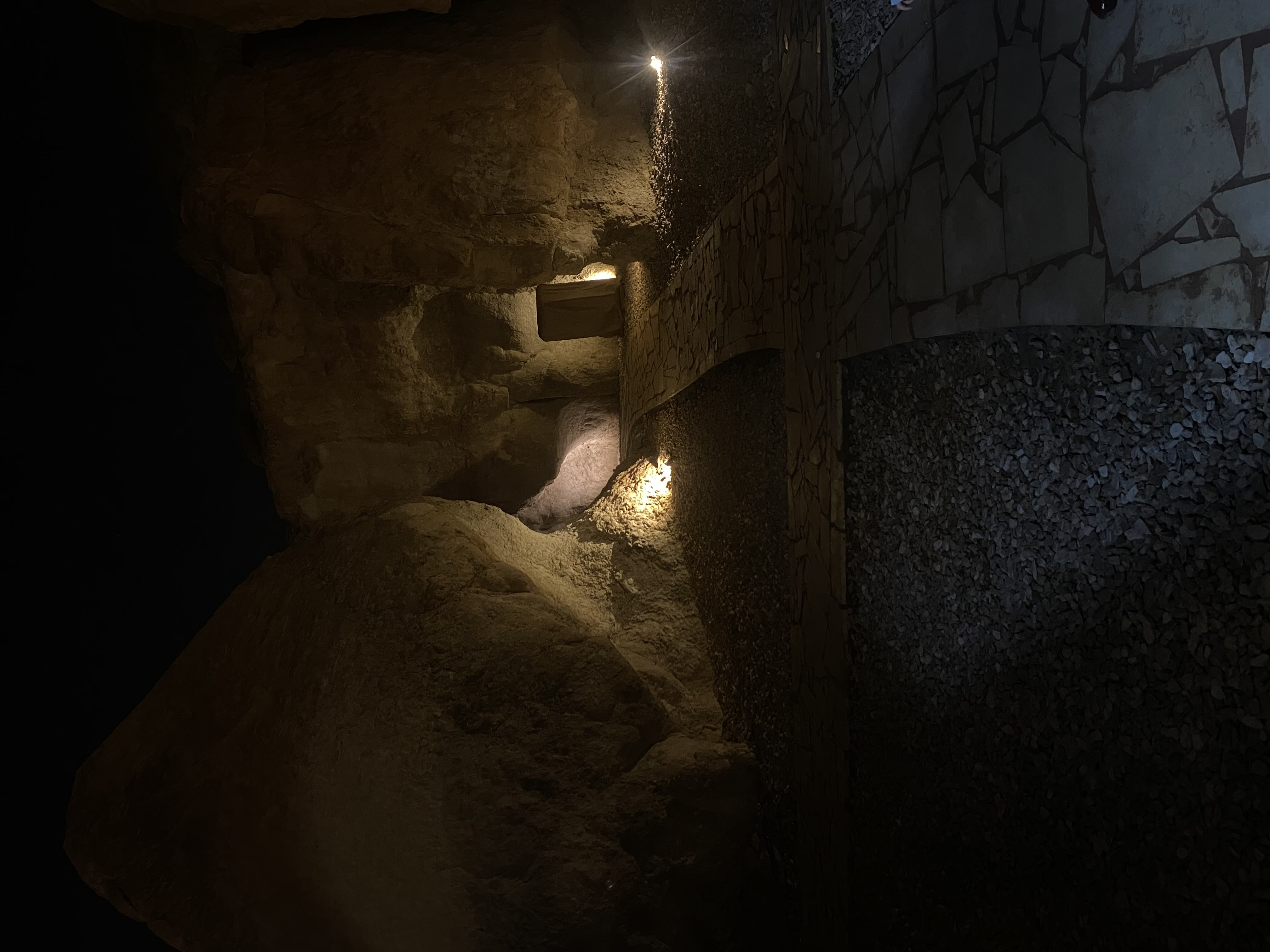 إسراء التمار