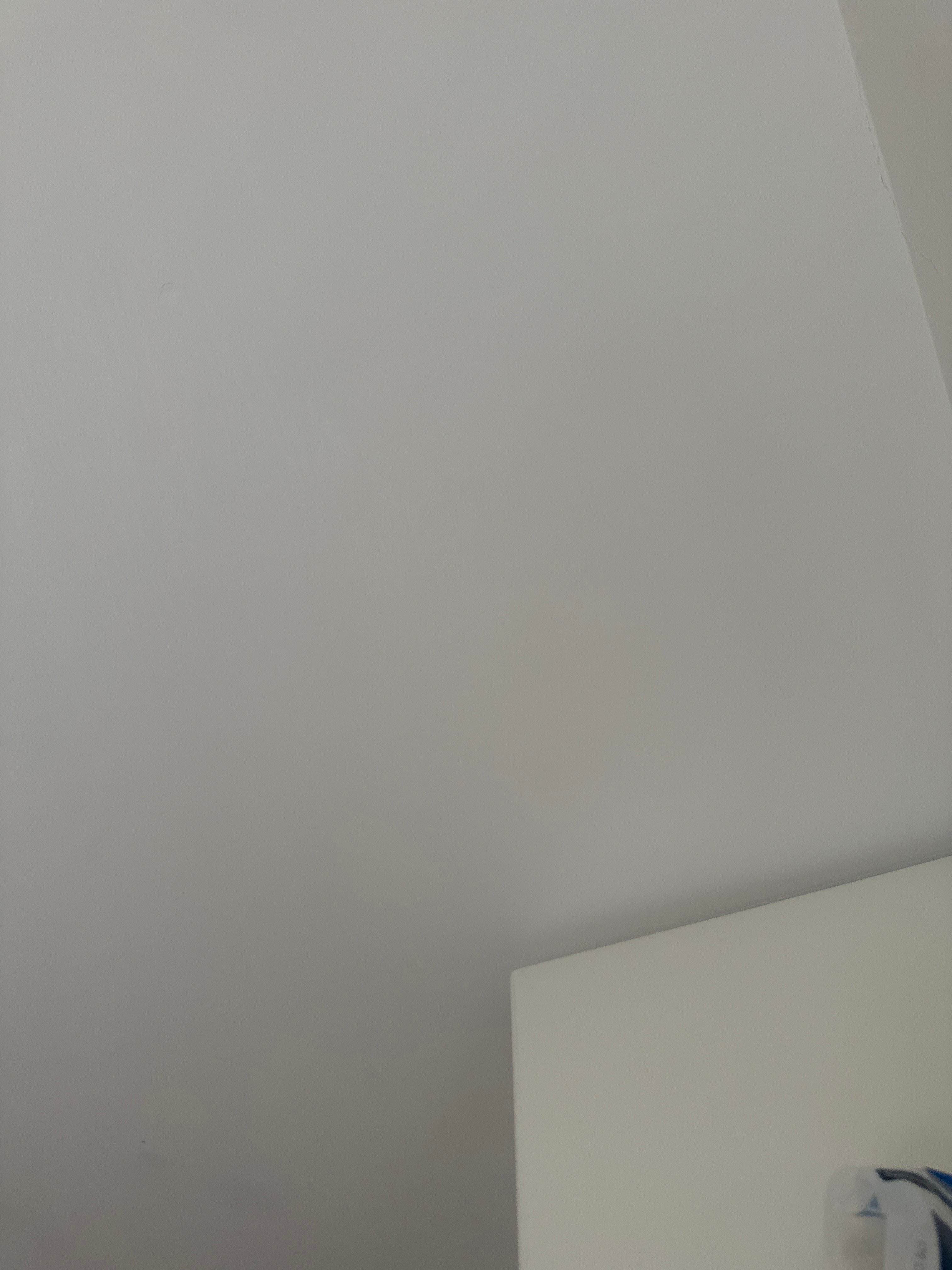 أيمن البيطار