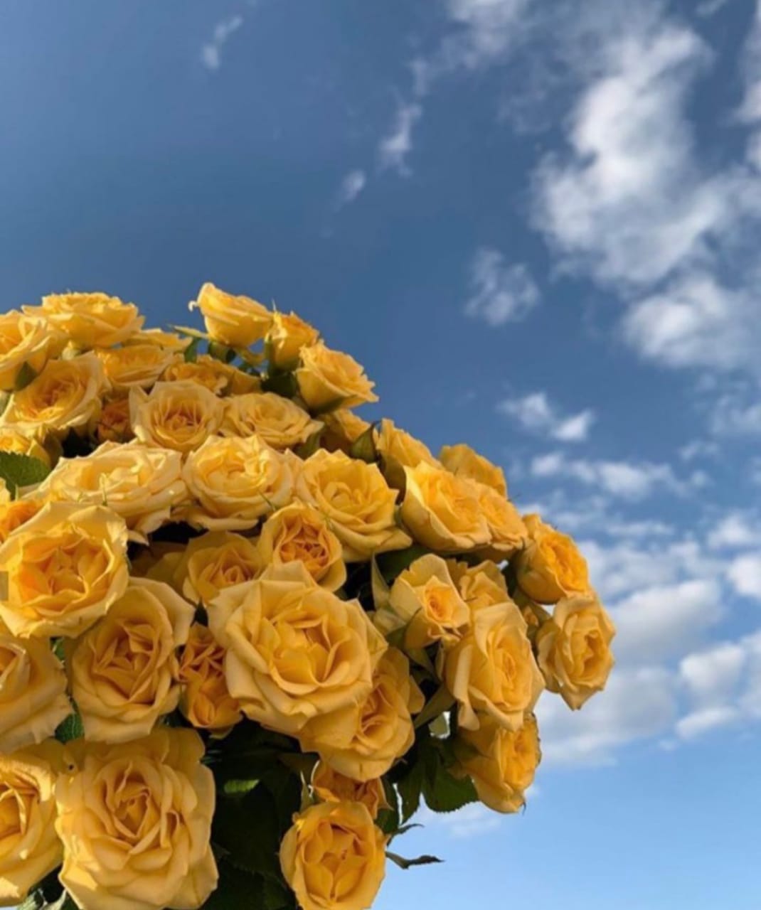 مسفره عبدالله القحطاني