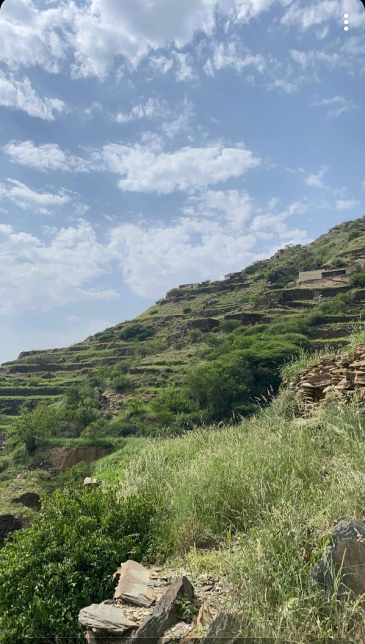 عبده الاسمري