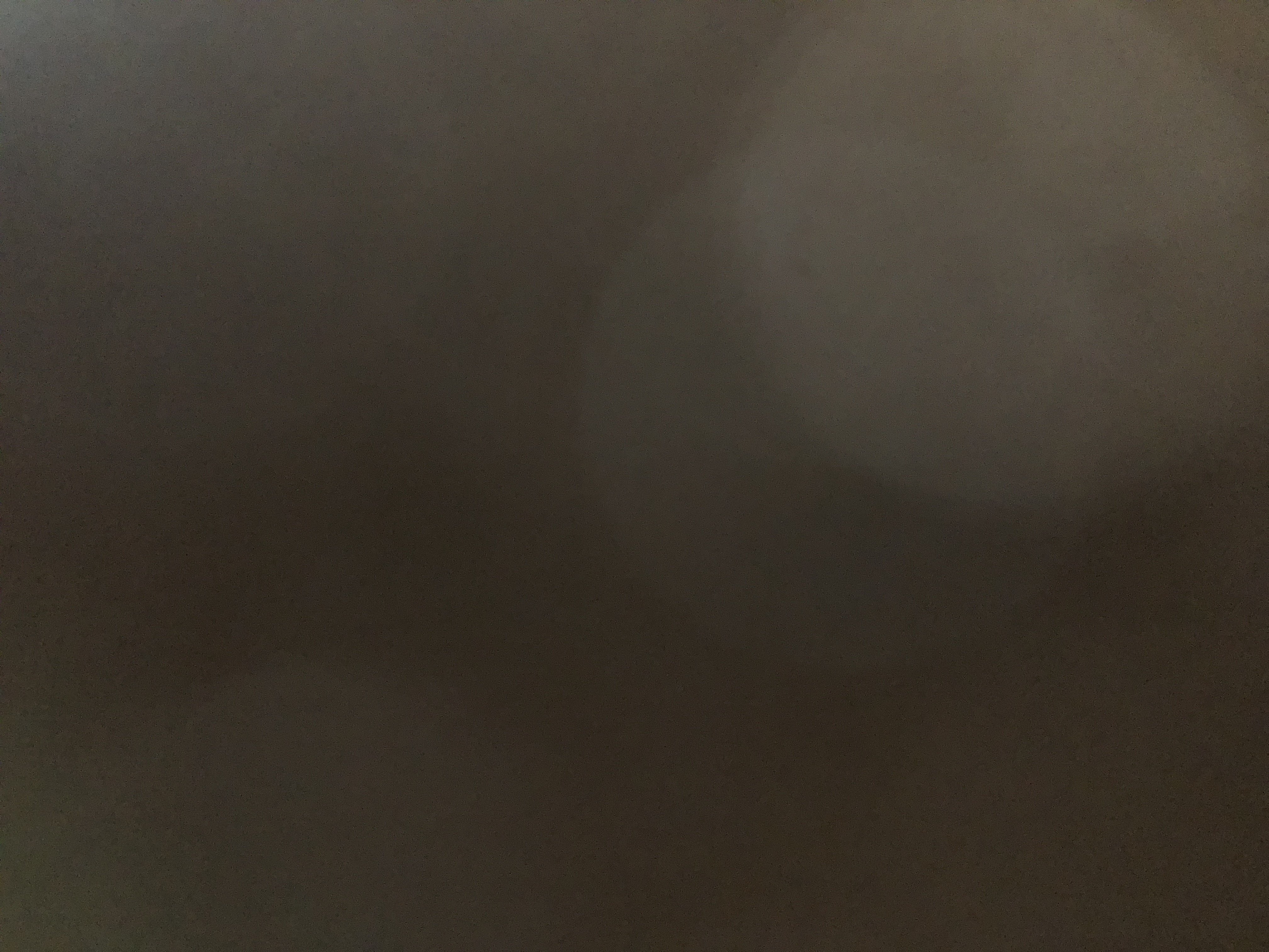 ريان العلوي