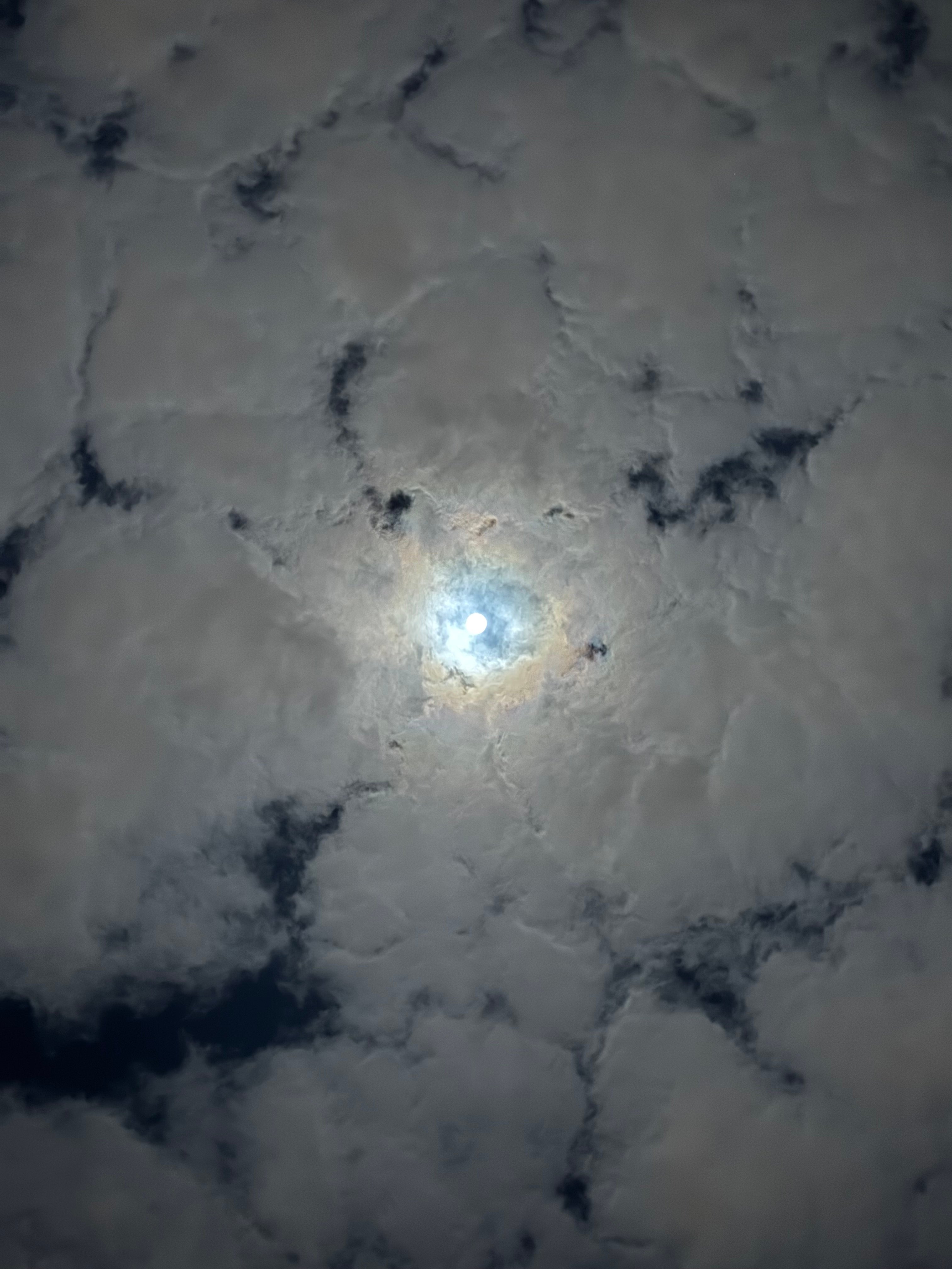 طلال العتيبي