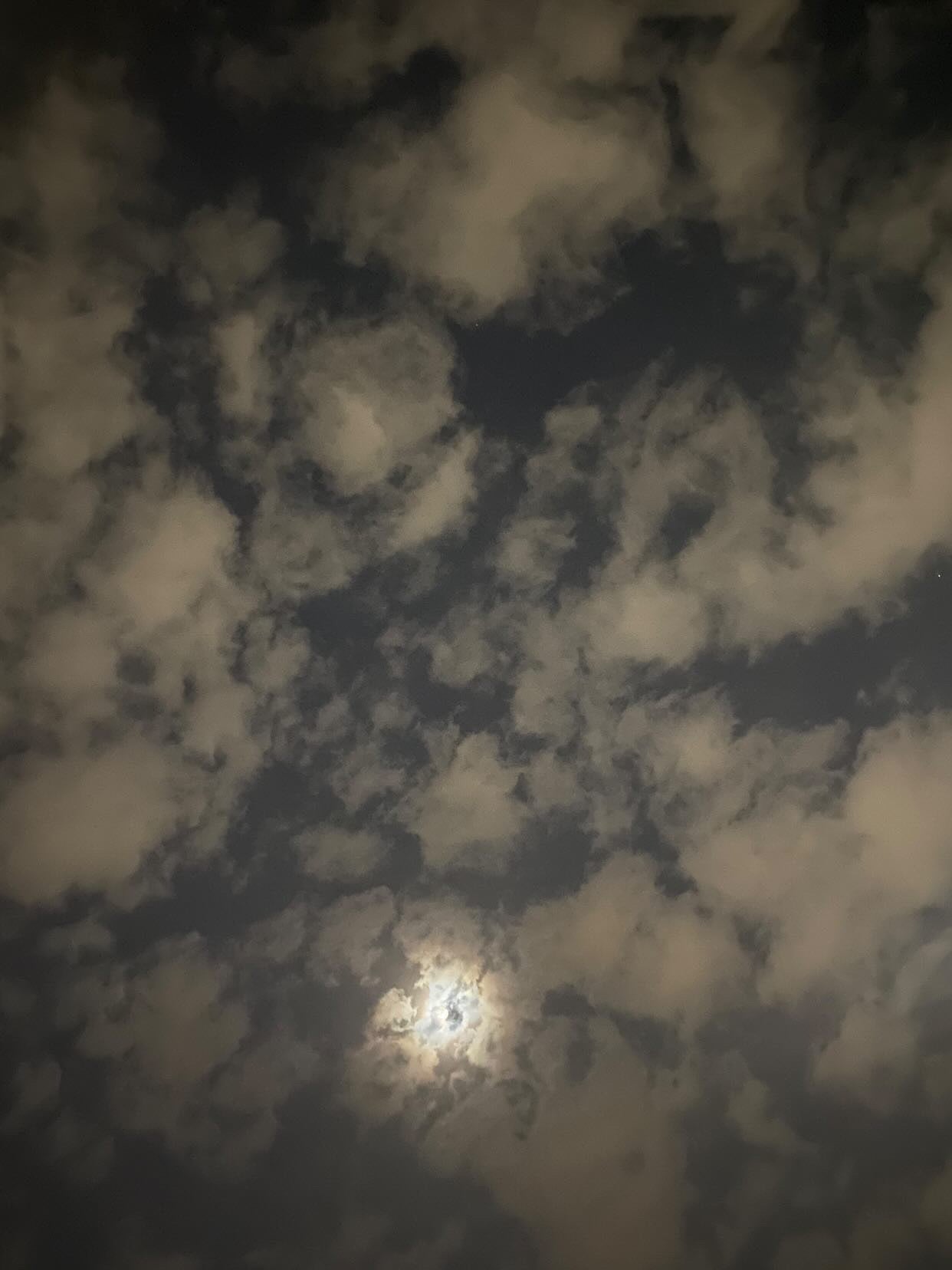 ربى غصاب 