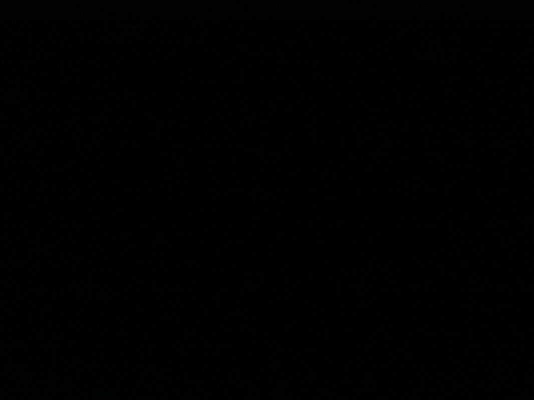 إيلاف عداوي