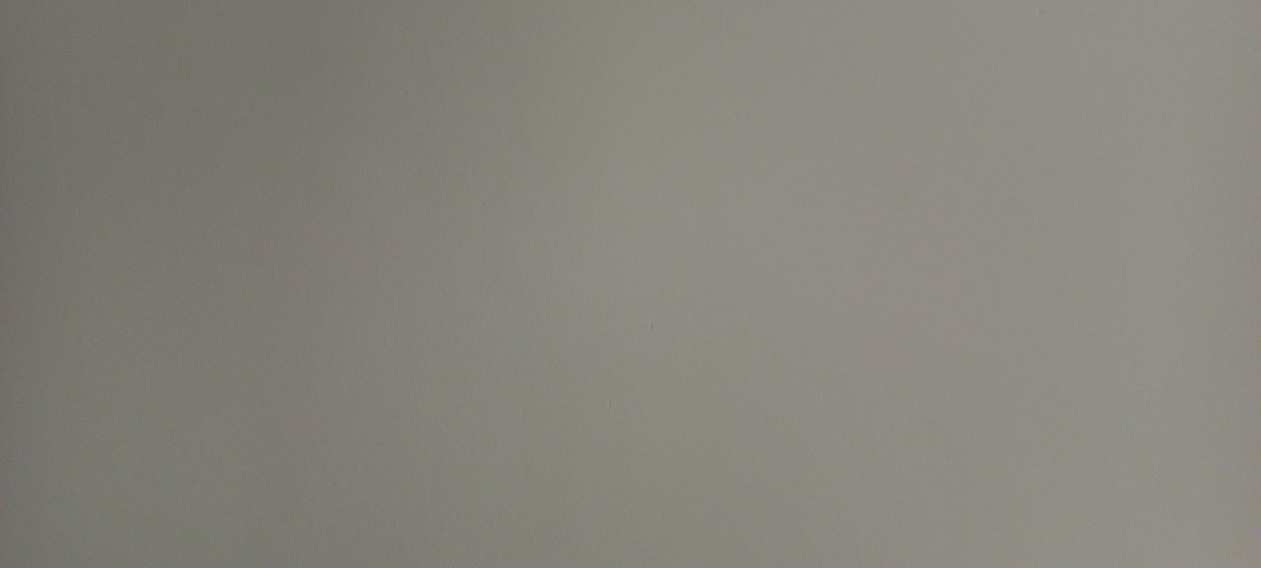 عائشة الشهيوين