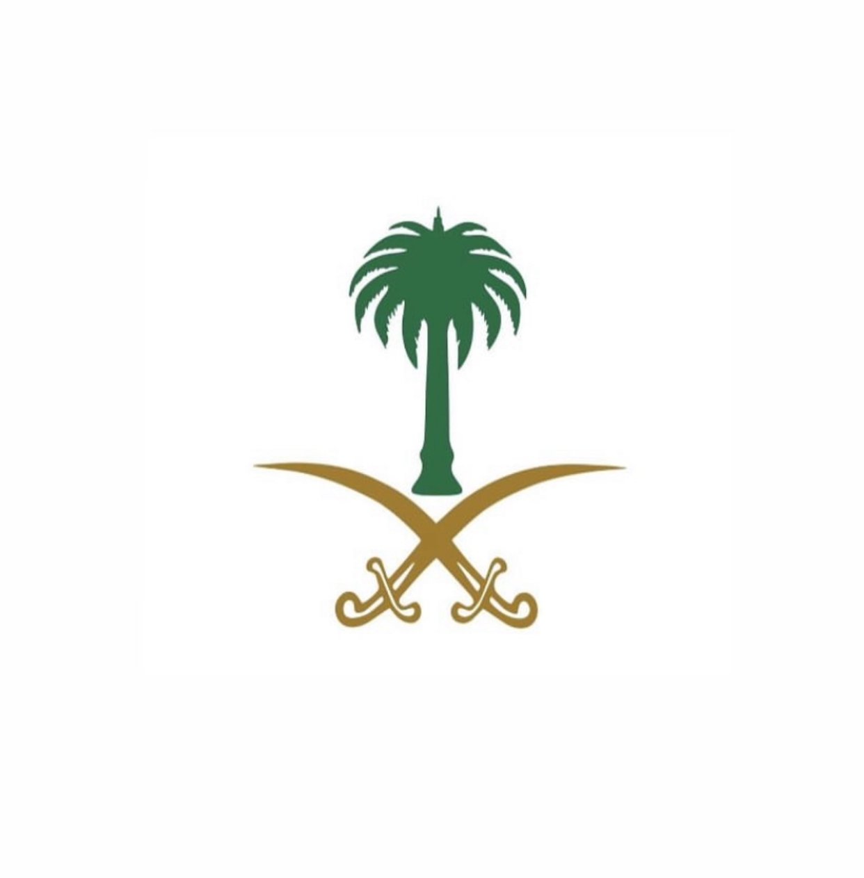 روان العنزي