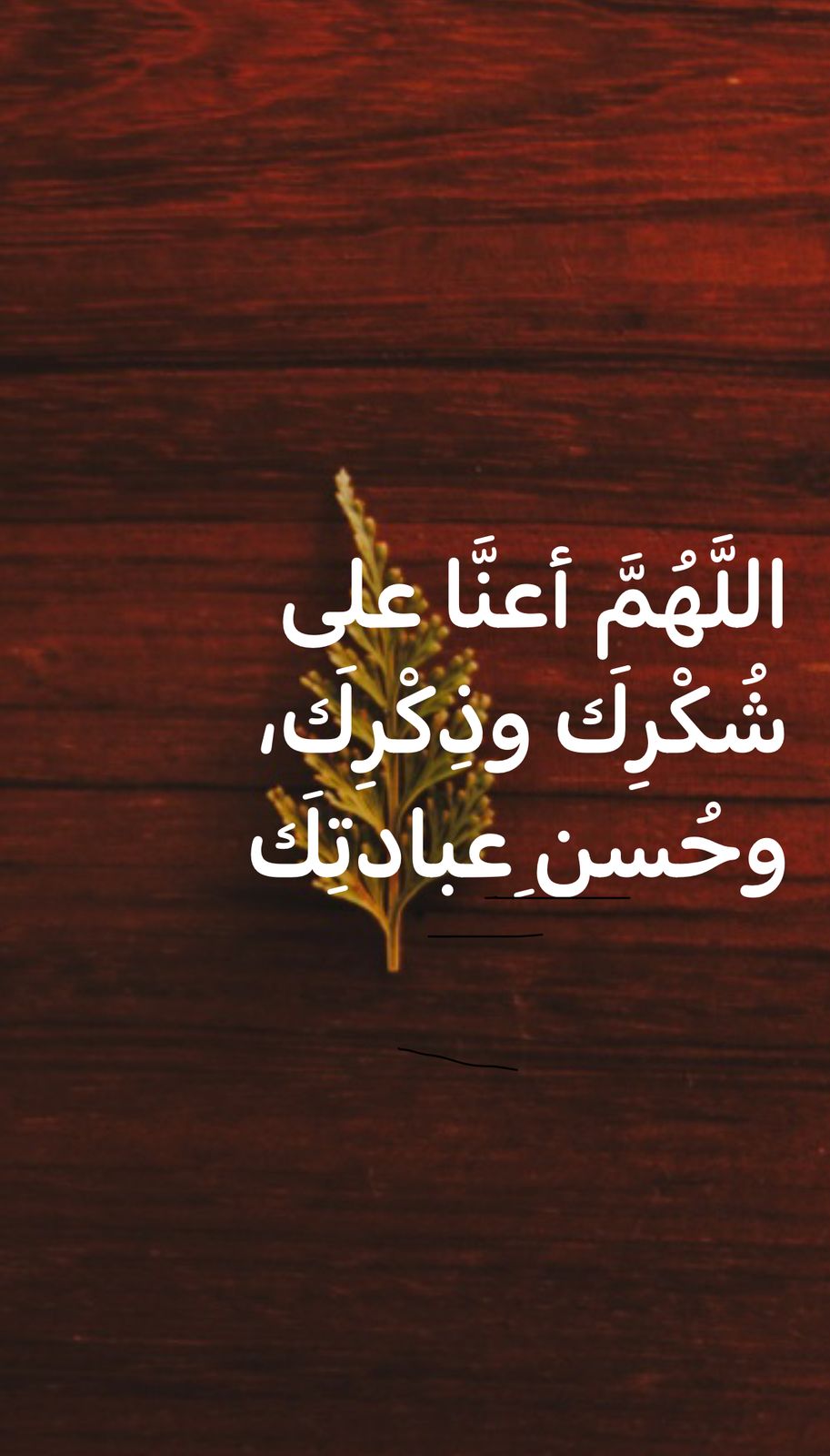 عبدالله المالكي