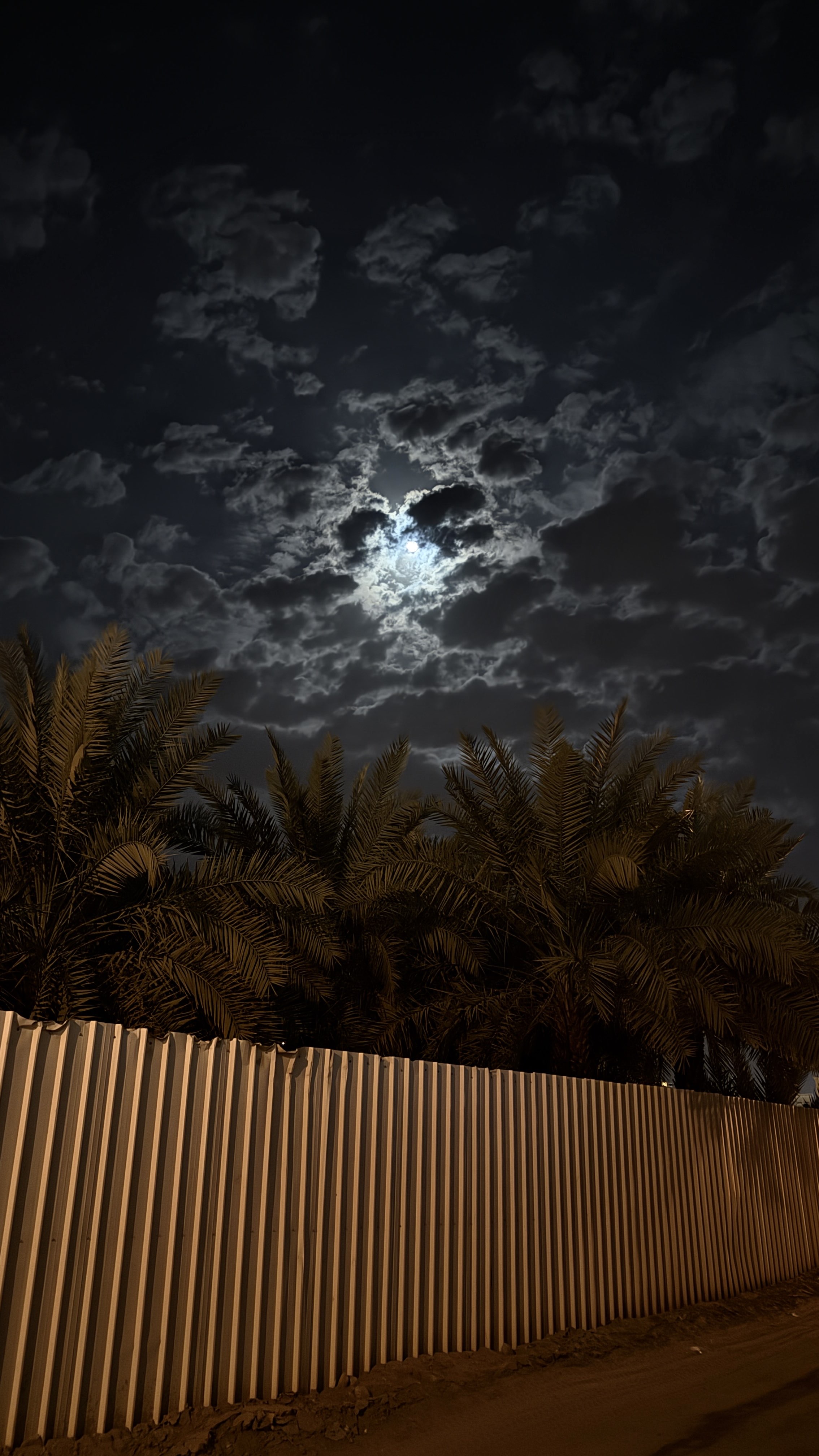 اسامة ال عاضة