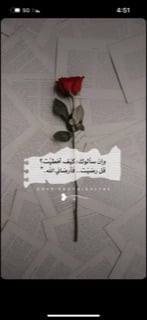 محمد المجنوني