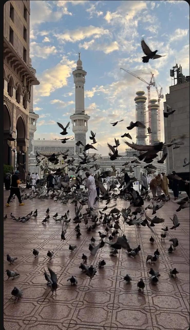 حسن فقيه