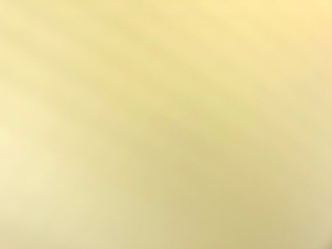 فيصل الشهري