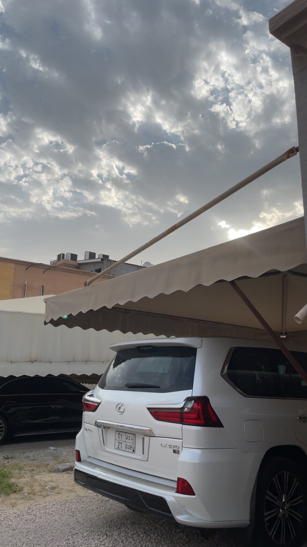 رايز سعود