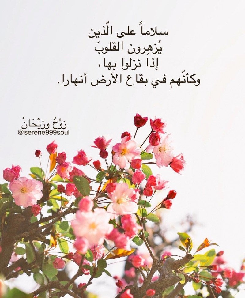 منيره العتيبي