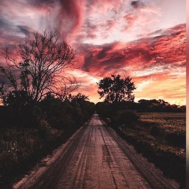 وريف المطيري