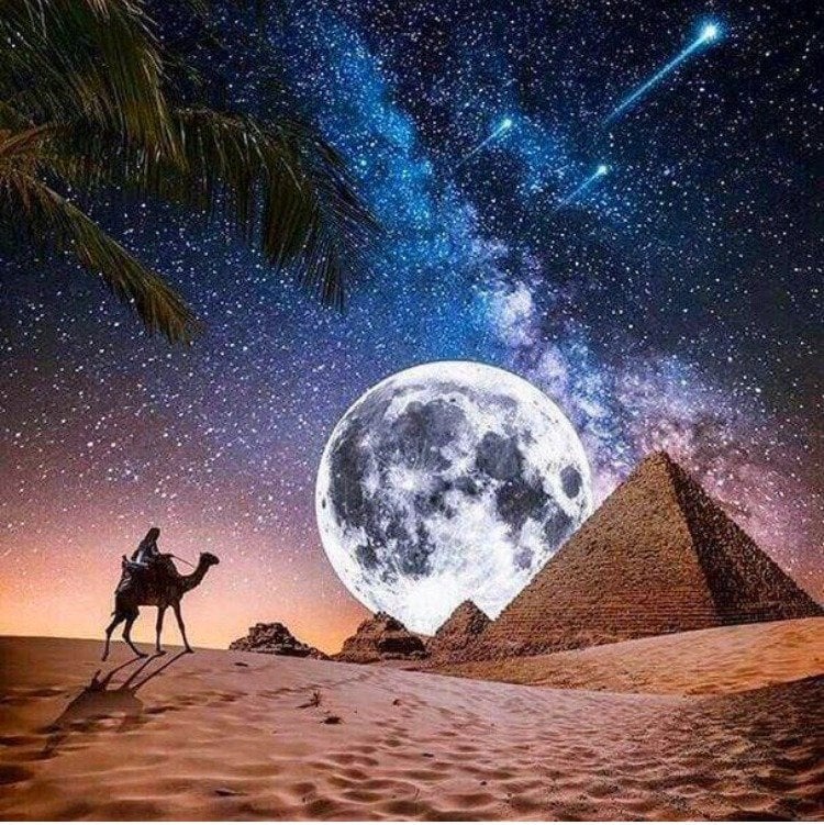 حمدي الشلالي