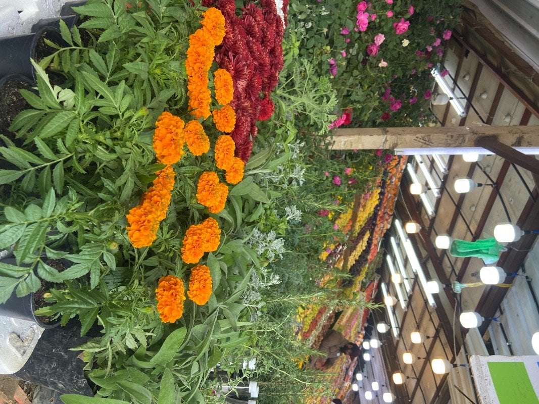 customer