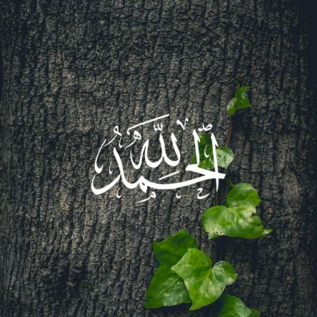 حسن وزي